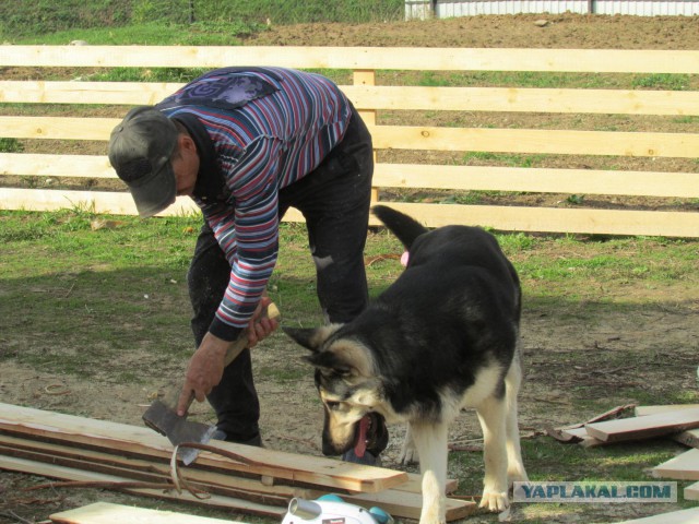 Сыночек к мамане в гости приезжал)))