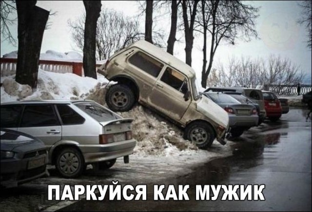 Подборка картинок