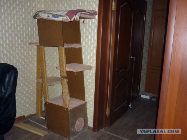 Домик для кота