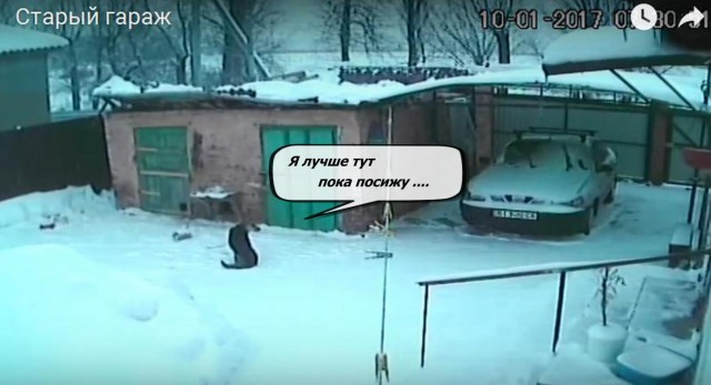 Едет крыша (не выдержала снег)