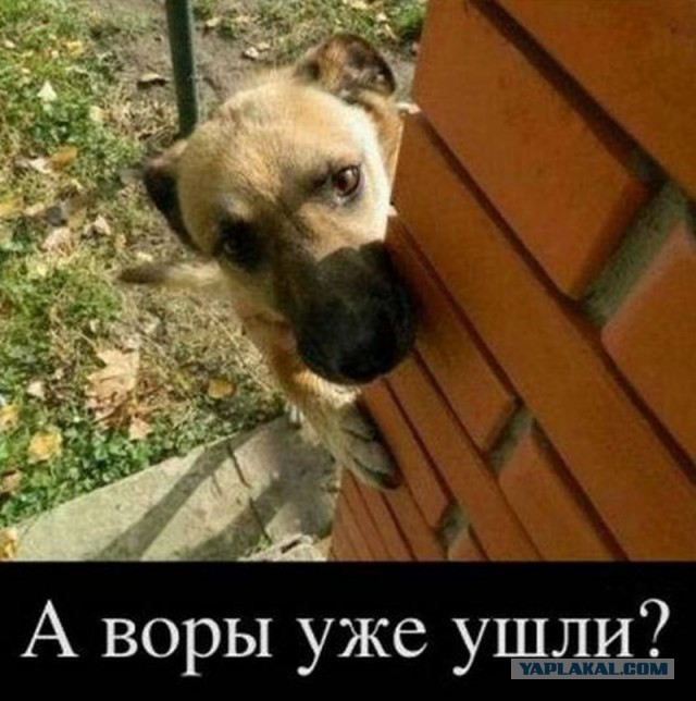 Картинки. Интересные, старые и не очень