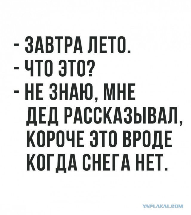 Подборка интересных и веселых картинок
