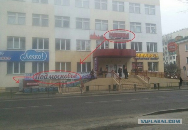 Прикольные картинки 20.06.2017.