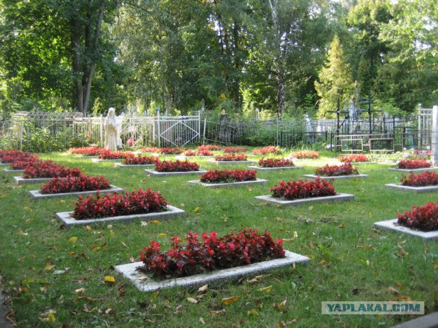 Интересные и редкие фотографии