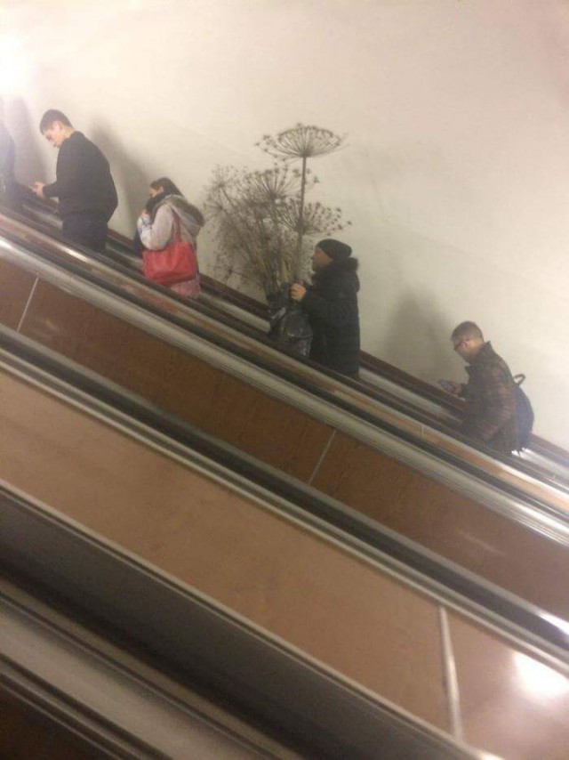 Смешные картинки