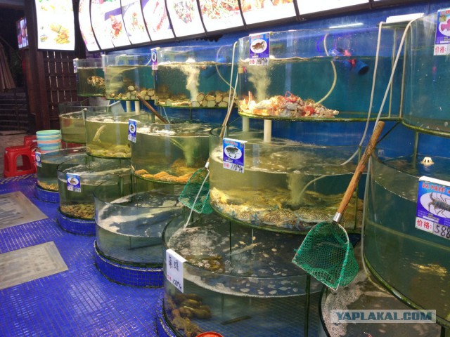 ХАЙНАНЬ. Записки путешественника. Часть первая.