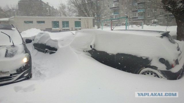 Снежный ад в Москве - большой фотоотчет