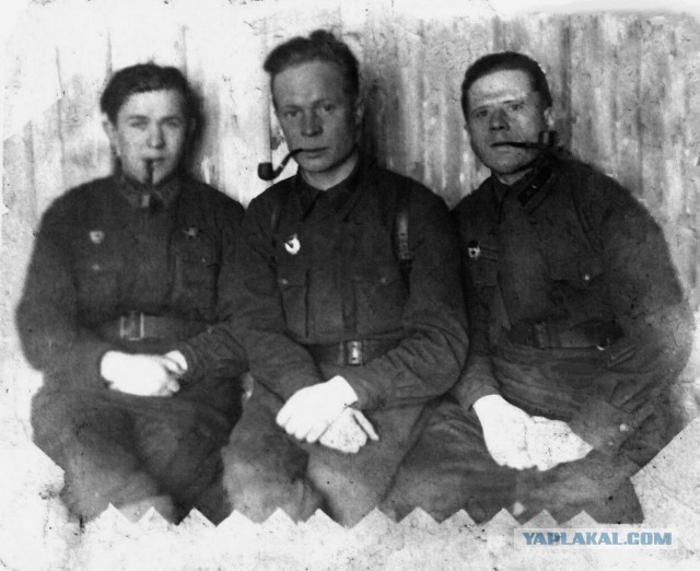 Бессмертный полк ЯП
