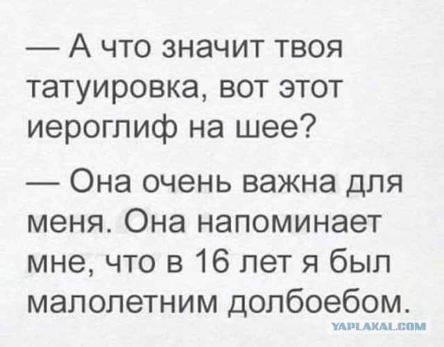 Не очень светлый и абсурдный юмор обо всём