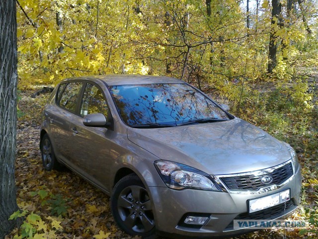А Вы довольны своим автомобилем?