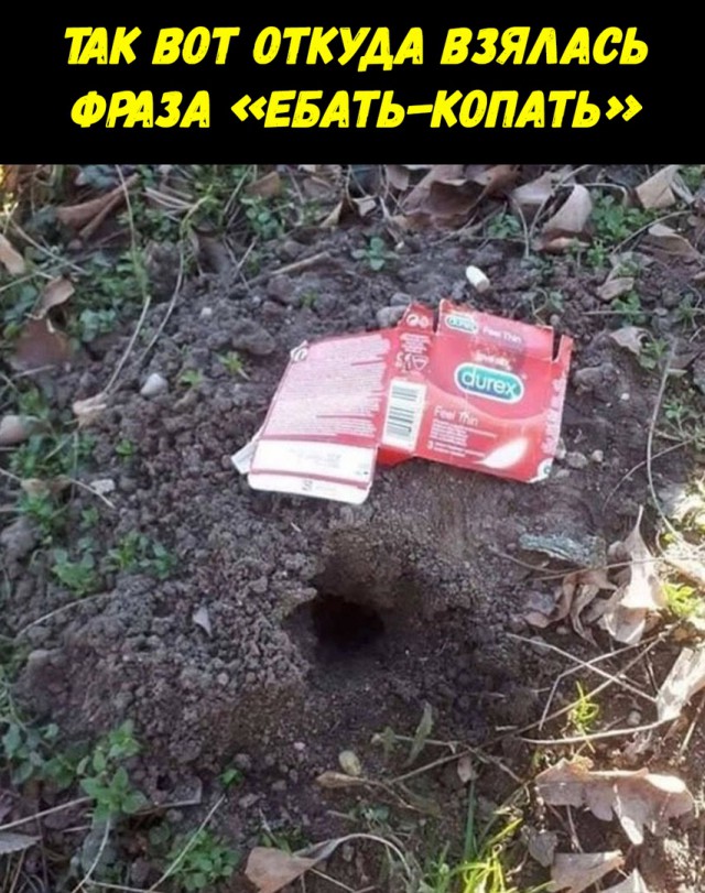Прикольные картинки абавсём