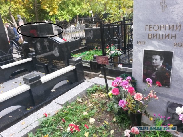 Георгий вицин могила фото