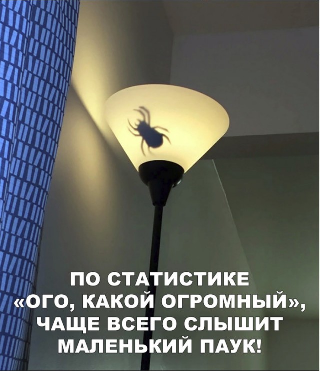 Прикольные картинки абавсём