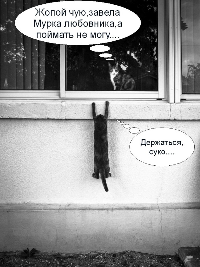 Забавные фотографии обо всём 28.11.19