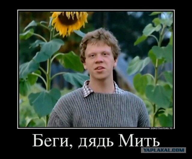 Коротко о ЯПлакал в картинках
