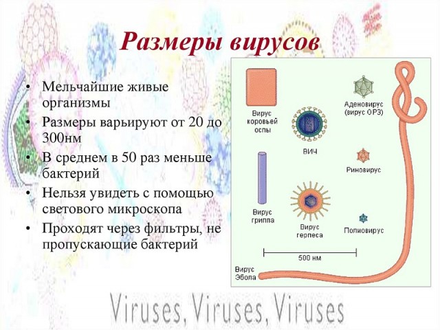 Где наши маски?