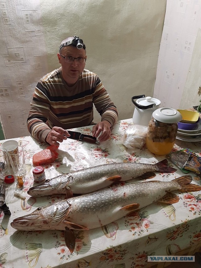 Пацаны, хочу похвастаться рыбалкой