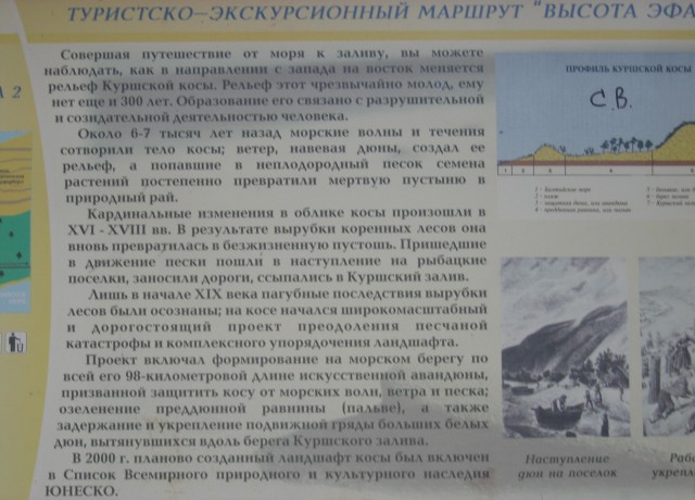 Куршская коса или очередной побег от тоски