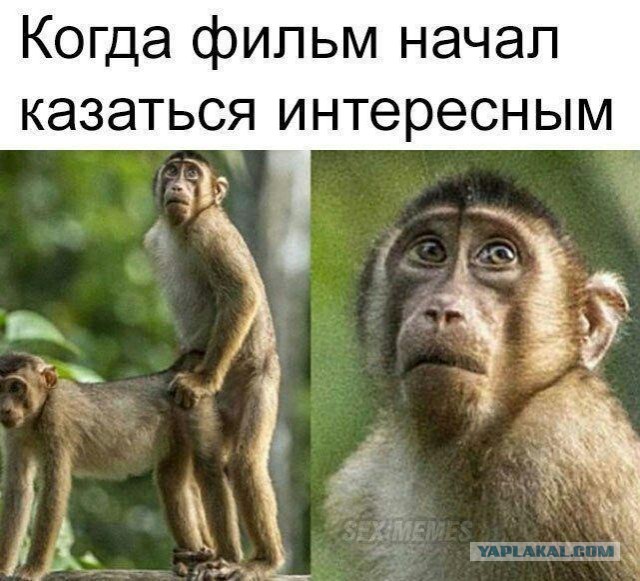 Снова пятница. И немного слегка пошлых картинок с надписями и без 16+ (04.09)
