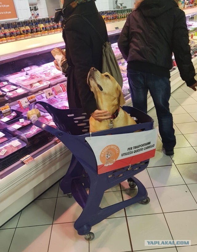 Идеи