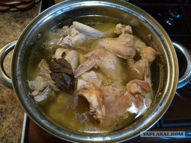 Нищебродам на заметку. Рваные курицы