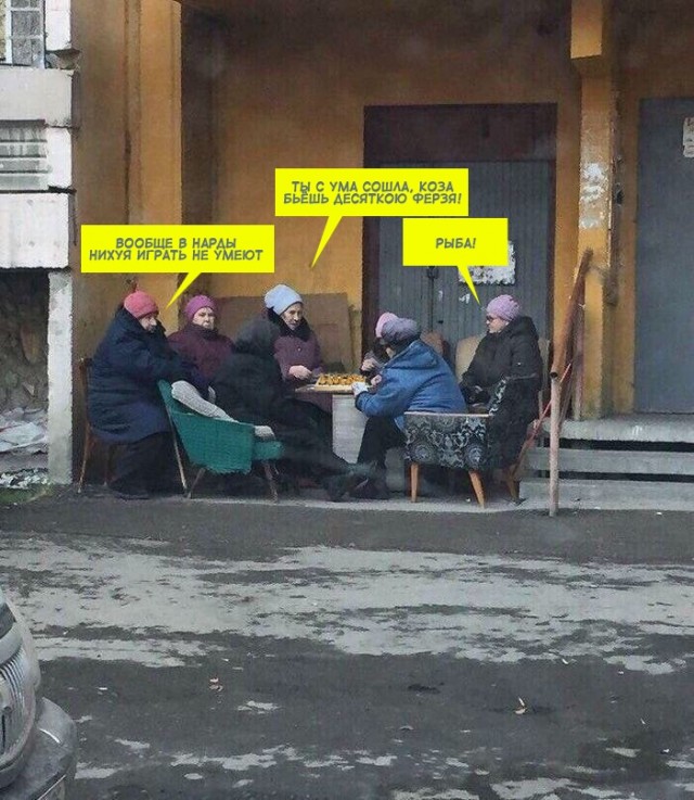 Весёлый полтишок 14.02