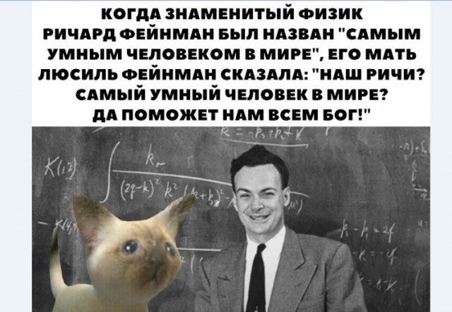 Картинки и мемы для настроения