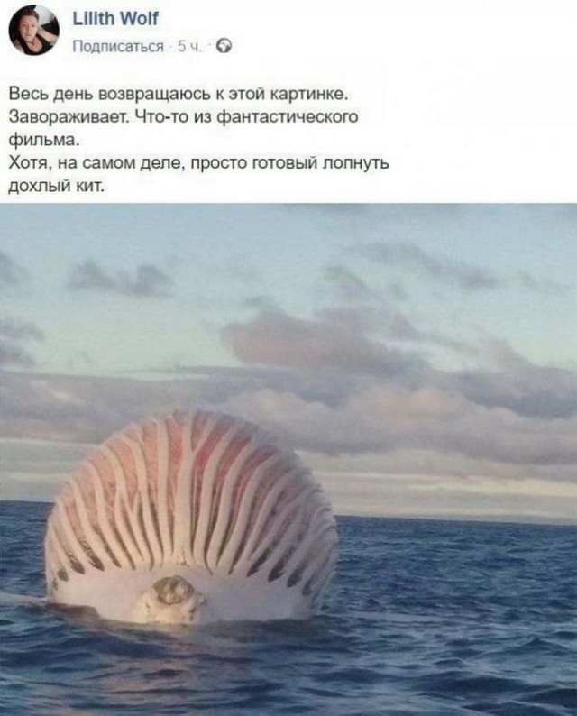 Встречаем новую неделю. И новый месяц
