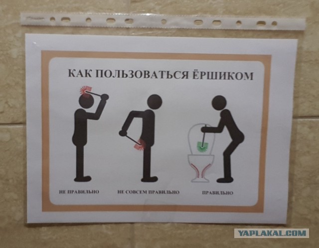 Алабай: некоторые недостатки древней породы, о которых вряд ли расскажут в питомнике