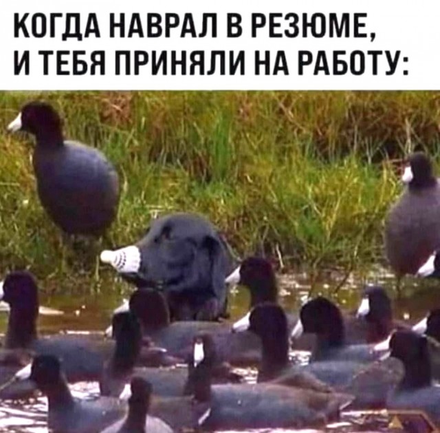 Так себе картинки 06.10.21