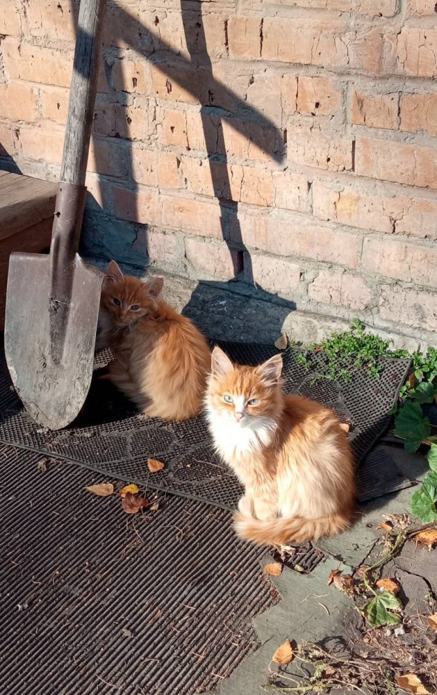 Знакомьтесь, Люцифер