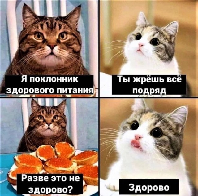 Картинки и мемы для настроения 02.02.2022