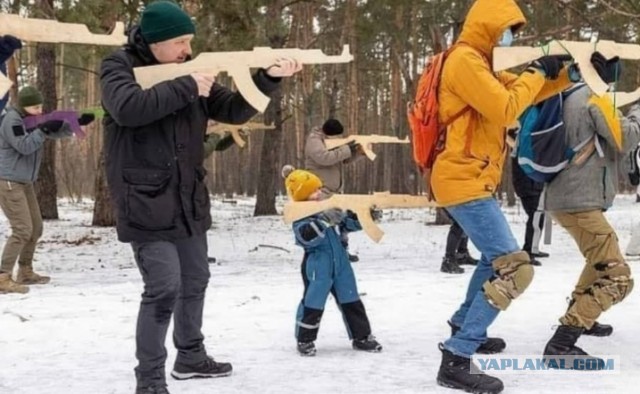 Мобилизация. Луганская область