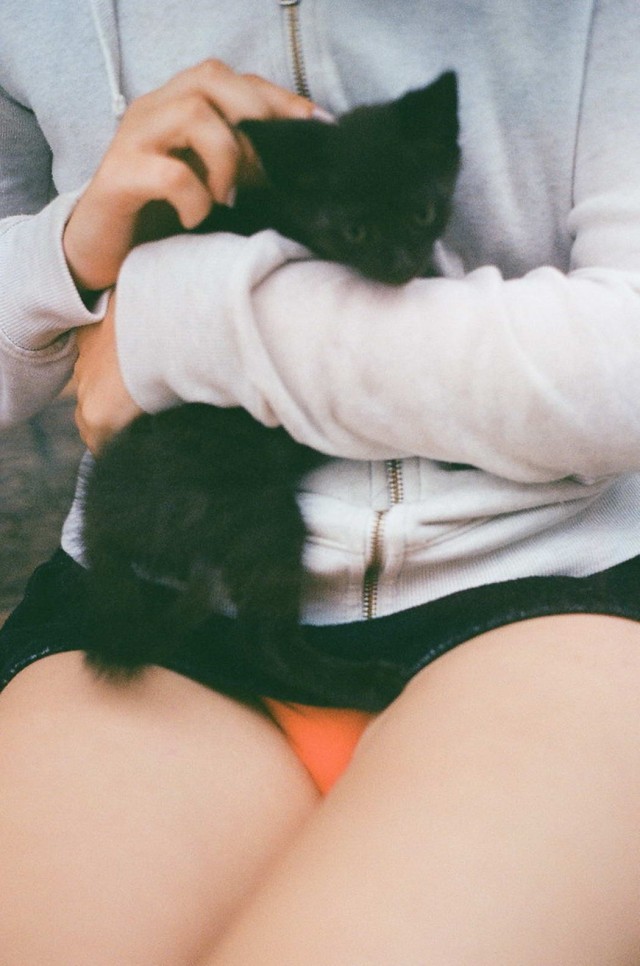 Забавные и милые котейки