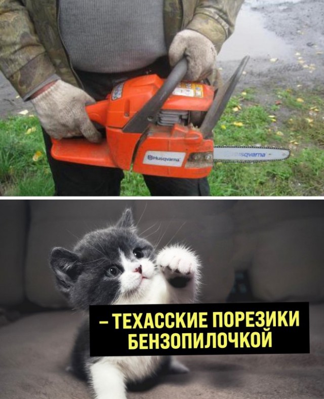 Картинки и мемы для настроения - 21