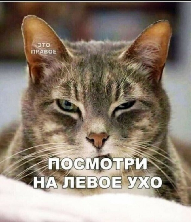 Пятница. Вечер. Картинки всякие #13