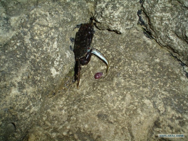 Мыс Тарханкут - самая западная точка Крыма.