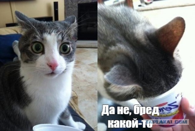 Фсё прапала.
