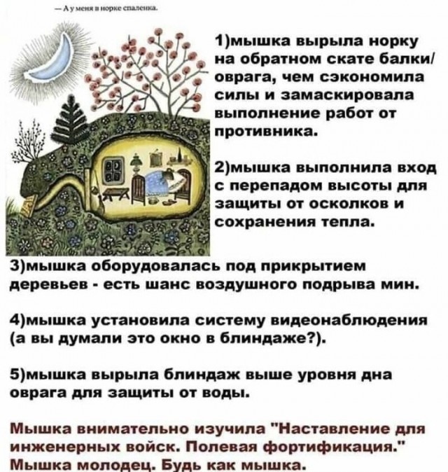 Народная меДИЧина 12502