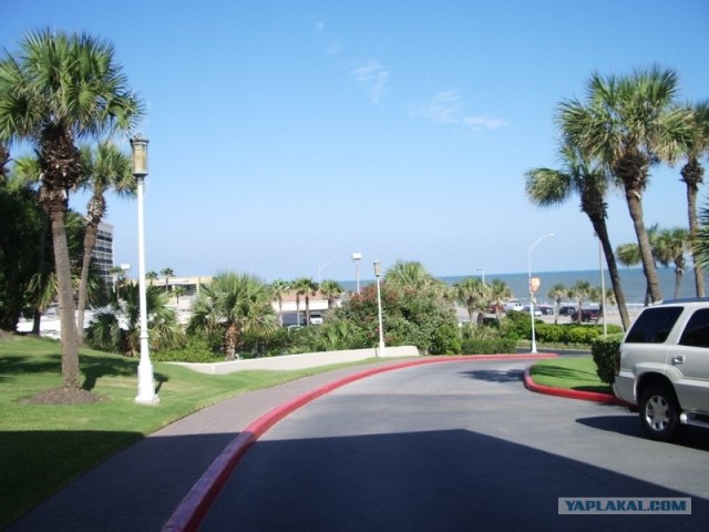 Фотоотчет по штату Техас + музей NASA