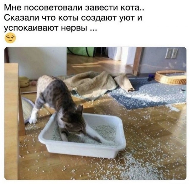 Что тебе нравится в девушках?