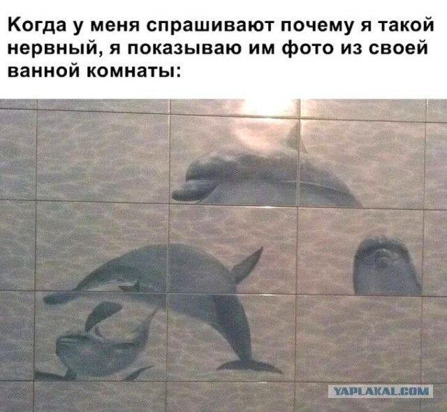 Пятница. И немного слегка пошлых картинок с надписями и без 16+ (16.12)