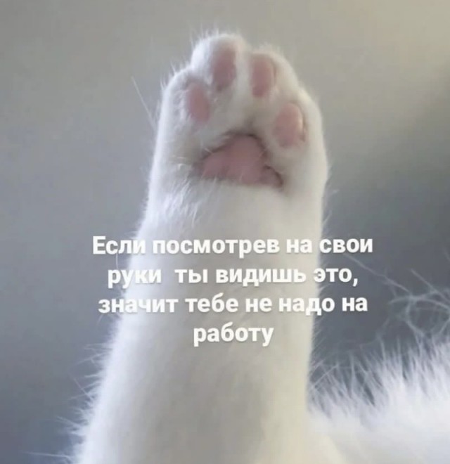 Картинки и мемы, всем хороших выходных