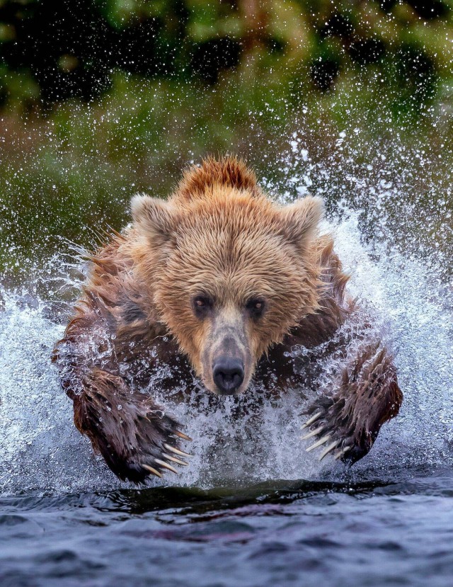 Подборка интересных и прикольных фото из Сети 01.04.23