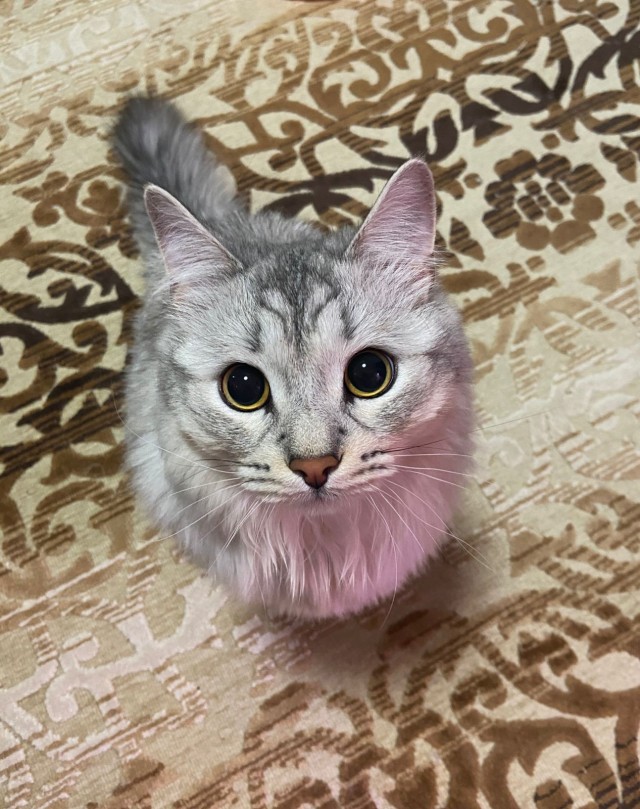 Пусть это будет сон!!!