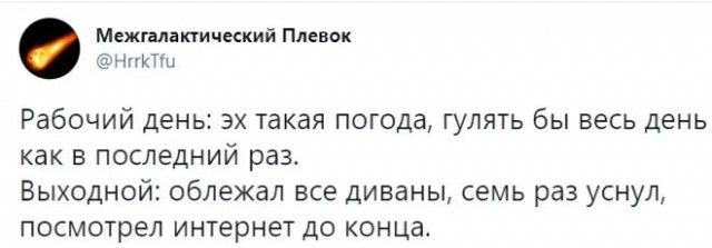 Забавные комментарии из социальных сетей (24.07.23)