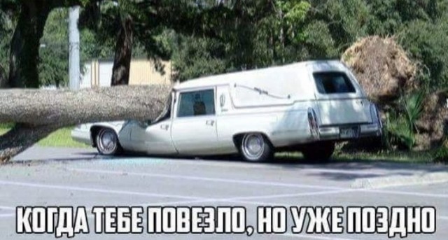 Всего понемногу. От 14.08.23