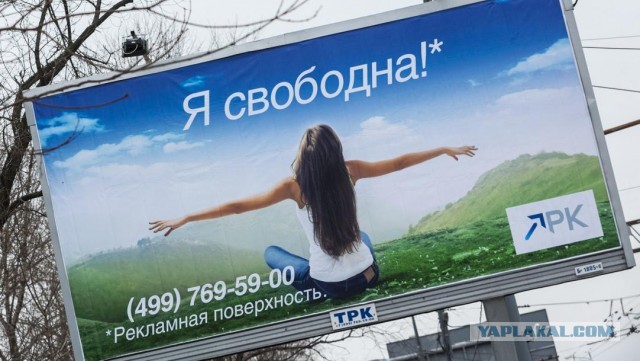 Психованная баба катает на капоте активиста Стопхам в Питере