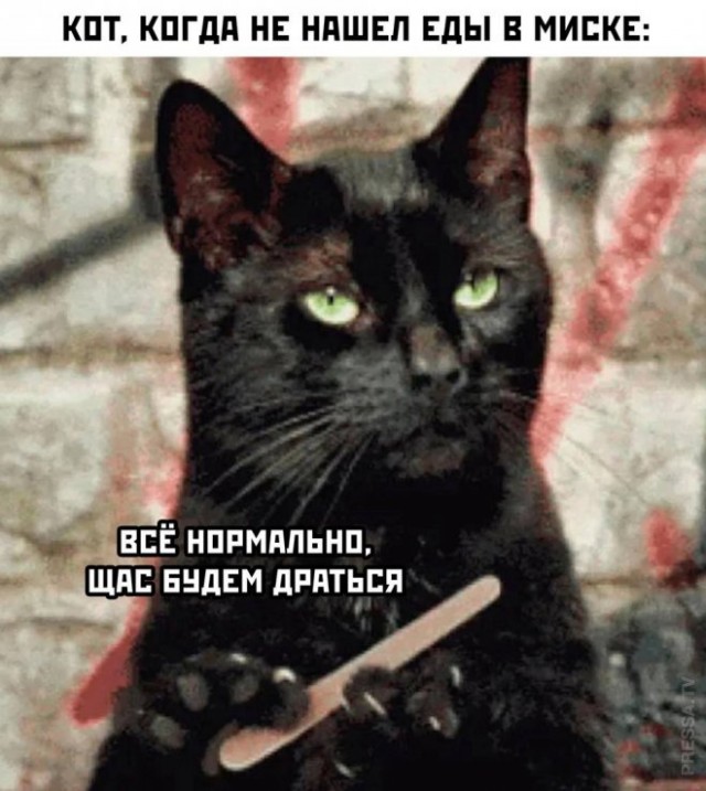 Весёлый полтишок 15.10.23