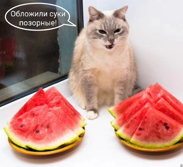 Народная меДИЧина 2004